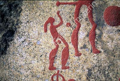 Yalangoch uxlab yotgan dumba